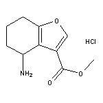 Methyl 4-Amino-4,5,6,7-tetrahydrobenzofuran-3-carboxylate Hydrochloride