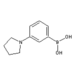 3-(1-Pyrrolidinyl)phenylboronic Acid