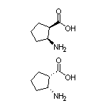 cis-2-Aminocyclopentanecarboxylic Acid