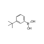 3-(tert-Butyl)phenylboronic Acid