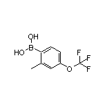 2-Methyl-4-(trifluoromethoxy)phenylboronic Acid