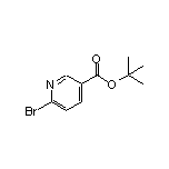 tert-Butyl 6-Bromonicotinate