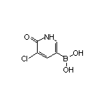 5-Chloro-6-oxo-1,6-dihydropyridine-3-boronic Acid