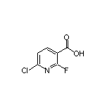 6-Chloro-2-fluoronicotinic Acid