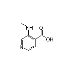 3-(Methylamino)isonicotinic Acid