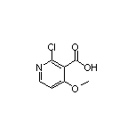 2-Chloro-4-methoxynicotinic Acid