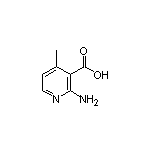 2-Amino-4-methylnicotinic Acid