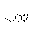 2-Chloro-5-(trifluoromethoxy)benzimidazole