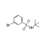 3-Bromo-N-(tert-butyl)benzenesulfonamide