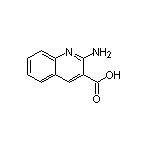 2-Aminoquinoline-3-carboxylic Acid