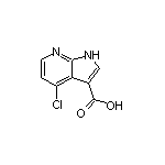 4-Chloro-1H-pyrrolo[2,3-b]pyridine-3-carboxylic Acid