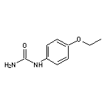 (4-Ethoxyphenyl)urea