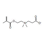 3-[[2-(Methacryloyloxy)ethyl]dimethylammonio]propionate