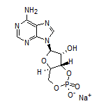 Adenosine 3’,5’-Cyclic Monophosphate Sodium Salt