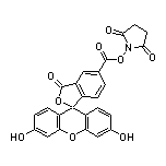 5-Carboxyfluorescein N-Succinimidyl Ester