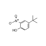 4-(tert-Butyl)-2-nitrophenol