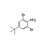 2,6-Dibromo-4-(tert-butyl)aniline