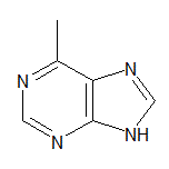 6-Methylpurine