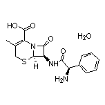 Cephalexin Monohydrate