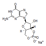 Guanosine 3’,5’-Cyclicmonophosphate Sodium Salt