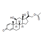 Prednisolone Acetate