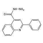 2-phenylquinoline-4-carbohydrazide