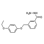 3-[(4-ethoxyphenoxy)methyl]benzohydrazide