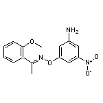 (1E)-1-(2-methoxyphenyl)ethanone O-(3-amino-5-nitrophenyl)oxime