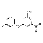 3-(3,5-dimethylphenoxy)-5-nitroaniline