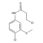 3-chloro-N-(4-chloro-3-methoxyphenyl)propanamide