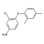 3-chloro-4-(2,4-dimethylphenoxy)aniline HCl