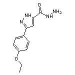 3-(4-ethoxyphenyl)-1H-pyrazole-5-carbohydrazide