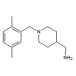 [1-(2,5-dimethylbenzyl)piperidin-4-yl]methylamine