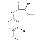 2-bromo-N-(3-chloro-4-methoxyphenyl)butanamide