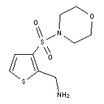 [3-(morpholin-4-ylsulfonyl)thien-2-yl]methylamine