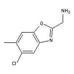 (5-chloro-6-methyl-1,3-benzoxazol-2-yl)methylamine HCl