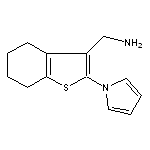 [2-(1H-pyrrol-1-yl)-4,5,6,7-tetrahydro-1-benzothien-3-yl]methylamine HCl