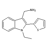 (1-ethyl-2-thien-2-yl-1H-indol-3-yl)methylamine