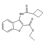 ethyl 3-[(cyclobutylcarbonyl)amino]-1-benzofuran-2-carboxylate