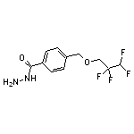 4-[(2,2,3,3-tetrafluoropropoxy)methyl]benzohydrazide