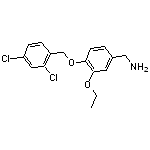 1-{4-[(2,4-dichlorobenzyl)oxy]-3-ethoxyphenyl}methanamine