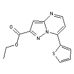 ethyl 7-thien-2-ylpyrazolo[1,5-a]pyrimidine-2-carboxylate