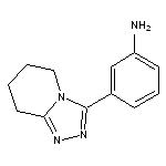 [3-(5,6,7,8-tetrahydro[1,2,4]triazolo[4,3-a]pyridin-3-yl)phenyl]amine