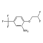 2-(2,2-difluoroethoxy)-5-(trifluoromethyl)aniline HCL