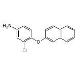 3-chloro-4-(2-naphthyloxy)aniline