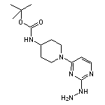 {tert}-butyl [1-(2-hydrazinopyrimidin-4-yl)piperidin-4-yl]carbamate