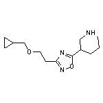 3-{3-[2-(cyclopropylmethoxy)ethyl]-1,2,4-oxadiazol-5-yl}piperidine