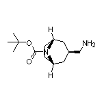 exo-8-Boc-8-azabicyclo[3.2.1]octane-3-methanamine