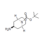 endo-9-Boc-7-amino-3-oxa-9-azabicyclo[3.3.1]nonane