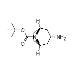 exo-8-Boc-8-azabicyclo[3.2.1]octan-3-amine